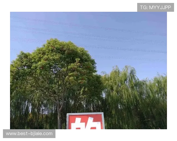 探索PA视讯在线游戏官网的最新优惠活动和丰富游戏资源让你的娱乐生活更加精彩纷呈
